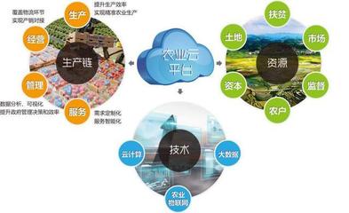 他山之石可以攻玉 借鑒美國農業信息化經驗，以信息技術咨詢服務升級中國農民