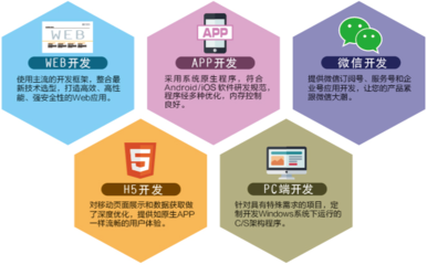 軟件開發(fā)技術(shù)服務(wù) 賦能企業(yè)數(shù)字化轉(zhuǎn)型的核心驅(qū)動力